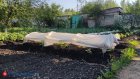 Россиянам напомнили о соблюдении режима тишины на дачах