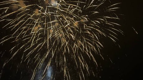 В праздновании Дня Победы приняли участие 130 000 жителей Пензы