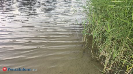 В Засечном в Суре нашли погибшего мужчину