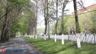 Россиянам рассказали о приходе тепла после заморозков