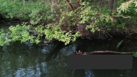 В Суре нашли тело пропавшего подводного охотника