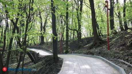 Тропу здоровья в Пензе обработают от клещей