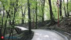 Тропу здоровья в Пензе обработают от клещей
