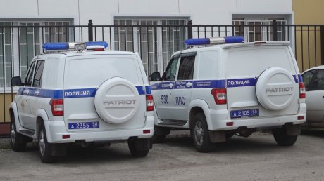 Схема с посылкой: пензячка перевела аферистам более 6 млн рублей