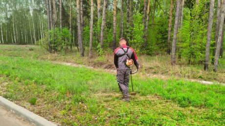 В Пензе благоустраивают городские кладбища