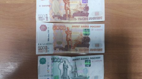 В Пензенском районе мигрант пошел на криминал, чтобы выручить друзей
