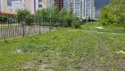 В Маньчжурии территорию будущего сквера расчистили от мусора