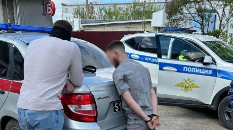 Силовики при проверке машин выявили 21 мигранта-нарушителя