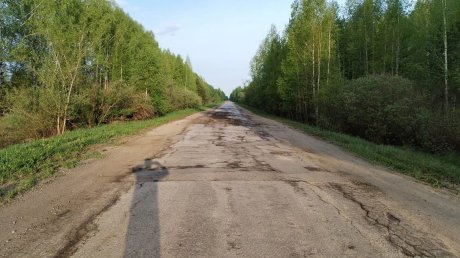 Дорогу в «Березовую рощу» хотят отремонтировать в 2025 году