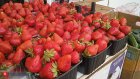 Россиян предупредили о признаках опасной клубники