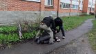 Пензенца задержали на улице за призывы к экстремизму в Telegram