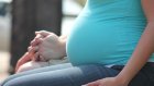 Студенткам увеличат пособия по беременности и родам
