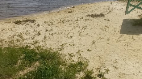 Водолазы ищут стекло и металл на дне водоемов Пензенской области