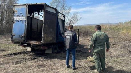 Вынесен приговор убийце жителя Средней Елюзани
