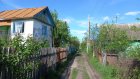 Дачникам рассказали о способах борьбы с популярными сорняками