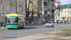 В Пензе на Южной Поляне выявлен очаг бешенства