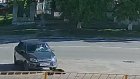 В Сердобске ищут живодера, жестоко переехавшего собаку