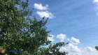 27 мая в Пензенской области будет летняя погода