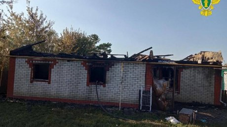 В Пачелмском районе сварщик спалил чужой дом