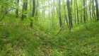 В Вадинском районе обнаружили археологические артефакты
