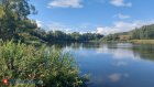 Выдра: очаровательная шалунья или вонючий монстр?
