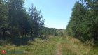 В Пензенской области ввели режим повышенной готовности
