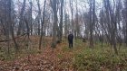 В Пензе обнаружили многослойный памятник эпохи позднего энеолита
