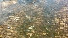 Жители Нижнего Ломова получили травмы из-за слизи на площади