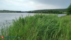 3 июня в Пензенской области подует западный ветер