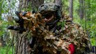 В Лунинском районе обезвредили «террористов», прятавшихся в лесу