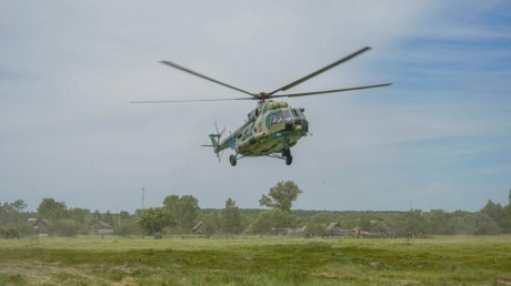 В Лунинском районе обезвредили «террористов», прятавшихся в лесу