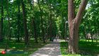 Каких сюрпризов ждать от лета-­2025?
