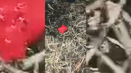 В Пензе гостю города грозит 20 лет за закладки