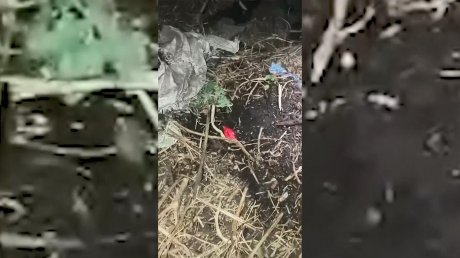 В Пензе гостю города грозит 20 лет за закладки