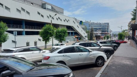 Названо число официальных машино-мест на ул. Кураева в Пензе