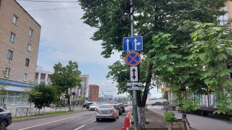 Названо число официальных машино-мест на ул. Кураева в Пензе