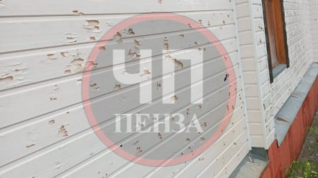 Колышлейцы показали последствия крупного града