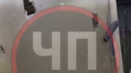Колышлейцы показали последствия крупного града