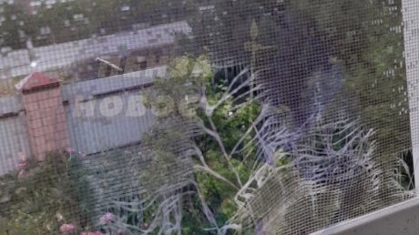 Колышлейцы показали последствия крупного града