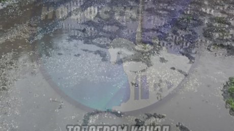 Колышлейцы показали последствия крупного града