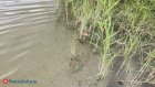 На водохранилище в Белинском районе обнаружили труп мужчины