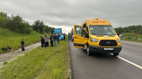Глава СКР заинтересовался ДТП с детьми в Городищенском районе