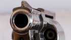 Жителя Пензенского района задержали с оружием, найденным 19 лет назад