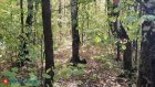 Пензенские волонтеры завершили поиск молодой сельчанки