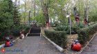 Пензенский зоопарк приобрел корову за 400 000 рублей