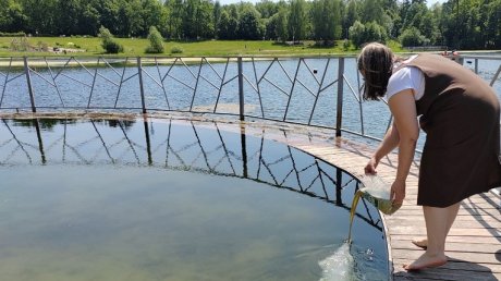 В зареченский пруд запустили вещества для борьбы с водорослями
