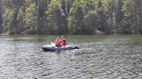 В зареченский пруд запустили вещества для борьбы с водорослями