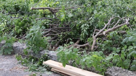 На улице Красной в Пензе начался ремонт лестницы