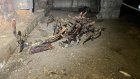 В подвале дома под Петербургом обнаружили пугающий объект