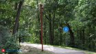 Тропу здоровья в Пензе планируют продлить до улицы Захарова
